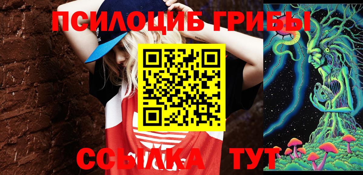 Батайск  Псилоцибиновые грибы мицелий  Вход с VPN 