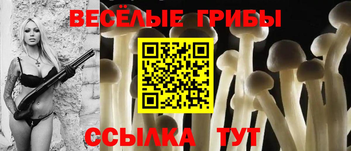 Галлюциногенные грибы Psilocybe Батайск